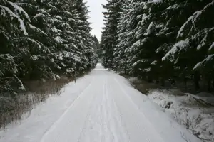 lesní cesty v okolí Slavětína jsou v zimě ideální pro běžěcké lyžování