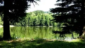 přírodní koupání doporučujeme na rybníku Hadrava (1 km)