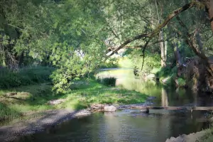 kolem chalupy protéká řeka Moravská Dyje (možnost rybaření)