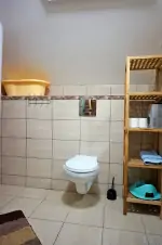 koupelna se sprchovým koutem, 2 WC, 2 umyvadly a infrasaunou v podkroví