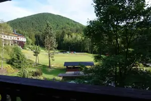 výhled z okna na okolní lesy