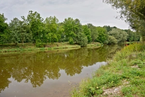 řeka Vltava protéká přímo kolem pozemku chaty Břehy