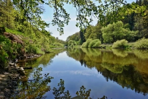 řeka Lužnice - možnost přírodního koupání a rybaření