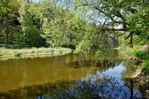 řeka Lužnice - možnost přírodního koupání a rybaření