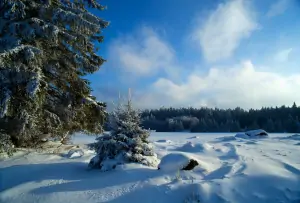 Česká Kanada v zimě