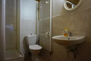 koupelna se sprchovým koutem, umvyvadlem a WC v podkroví