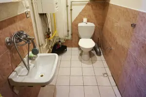 koupelna s ruční sprchou, umyvadlem a WC