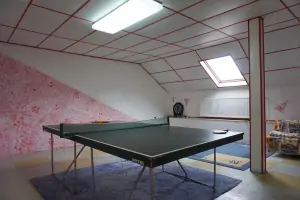herna se stolním tenisem v podkroví