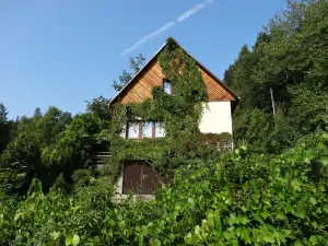 chata Frenštát pod Radhoštěm - Papratná se nachází v chatové oblasti u lesa