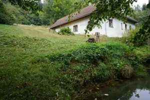 na pozemku chalupy Žítková se nachází zahradní jezírko (2018)
