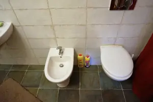 WC a bidet v koupelně