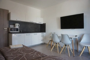 apartmán v přízemí - pokoj s kuchyňským koutem