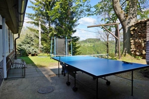 stolní tenis, ruské kuželky a malá trampolína u chalupy