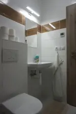 apartmán v podkroví - umyvadlo a WC v koupelně