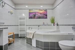 koupelna s rohovou vanou, WC a 2 umyvadly