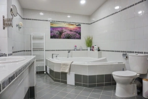 koupelna s rohovou vanou, WC a 2 umyvadly