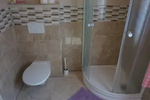 koupelna se sprchovým koutem, umyvadlem a WC v přízemí 