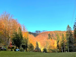 podzimně zbarvené lesy v okolí chaty Řeka