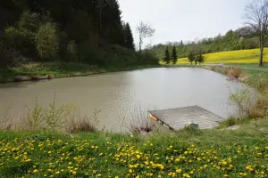 po domluvě s majitelem chalupy lze na rybníku rybařit systémem Chyť a pusť