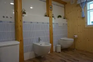 WC a bidet v koupelně v podkroví