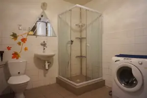 za hernou se nachází koupelna se sprchovým koutem, umyvadlem a WC