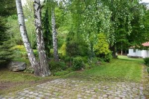 zahrada chalupy Jiřetín pod Bukovou je bohatá na zeleň