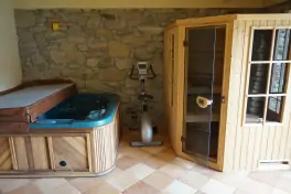wellness místnost s vířivkou a finskou saunou