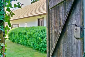 dřevěná vrata se vstupem na zahradu