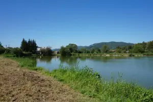 rybník u chalupy nabízí možnost rybaření