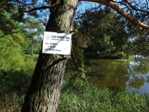 cca. 500 m od chaty se nachází slepé rameno řeky Lužnice, které je oblíbené u rybářů