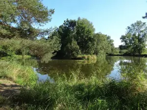 cca. 500 m od chaty se nachází slepé rameno řeky Lužnice, které je oblíbené u rybářů