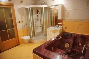 prostorná koupelna v suterénu s vířivkou a masážní sprchou