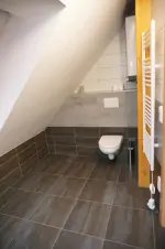 koupelna se sprchovým koutem, umyvadlem a WC v 1-pokojovém apartmánu v podkroví