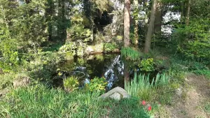 na zahradě je i přírodní rybníček