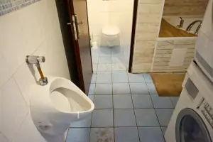 koupelna s hydromasážní vanou, umyvadlem, pračkou, sušičkou, 2 pisoáry a WC (odděleno dveřmi)