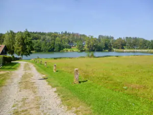 příjezdová cesta k chatě, ve vzdálenosti pouhých 50 m se nachází rybník Kachlička