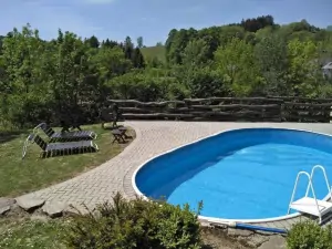 zapuštěný oválný bazén (rozměry: 7 x 4 m) 