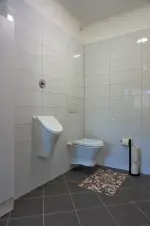 WC a pisoár v koupelně