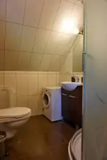 koupelna apartmánu se sprchovým koutem, uvadlem, WC a pračkou