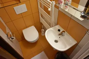 koupelna se sprchovým koutem, umyvadlem a WC v ložnici s dvojlůžkem v podkroví