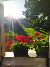 výhled z kuchyně do zahrady - východ slunce