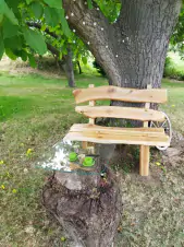 lavička pod velkým stromem na zahradě chalupy Kadešice