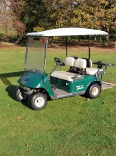 součástí pronájmu je i elektrický golfový vozíček