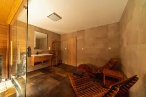 koupelna se sprchovým koutem a saunou