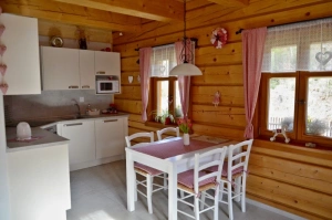 apartmán č. 1 - obytný pokoj s kuchyňským koutem