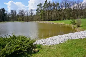 někteří hosté využívají rybník k přírodnímu koupání