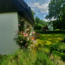 rozkvetlá zahrada u chaty Břekova Lhota