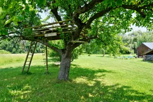 bunkr na stromě - Orlí hnízdo