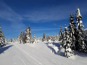 Jizerské hory jsou v zimě ideální k lyžování