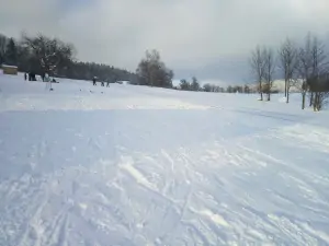 v zimní sezóně je na pozemku k dispozici lyžařský vlek
